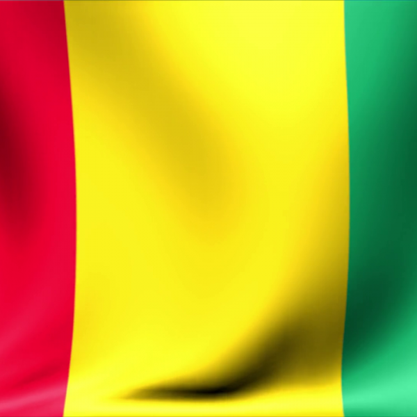 Guinea Flag